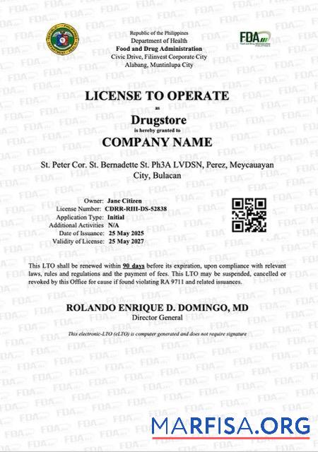 Blank Philippines license to operate Word and PDF template